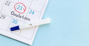 Common Myths About Ovulation and Fertility: What Science Really Says