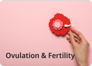 Ovulation 101 - Ovulation & Fertility