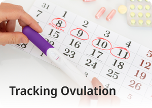 Ovulation 101 - Tracking Ovulation