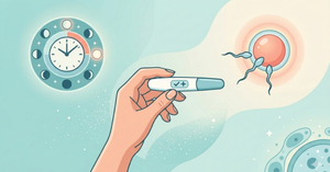 Can You Get Pregnant on Your Period?